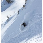 IMG_1446 IMG_1446