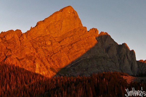 Cretone Needle sunrise