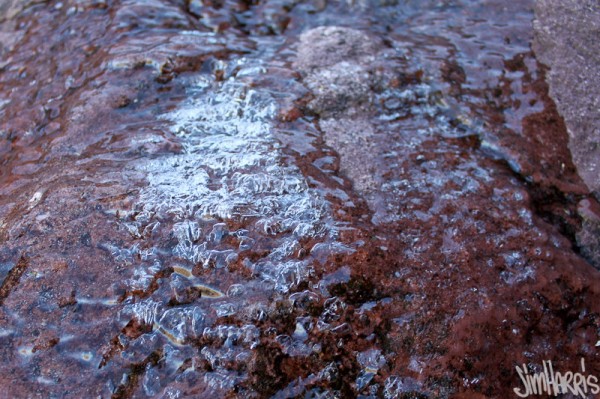 August Ice
