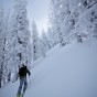 Mark skinning Mark skinning
