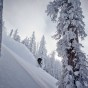 Mark skiing through the ghosted trees Mark skiing through the ghosted trees