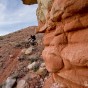 Vernal trails