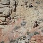 Grant in vernal