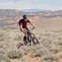 Whipping through the sagebrush