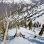 Down on variable snow