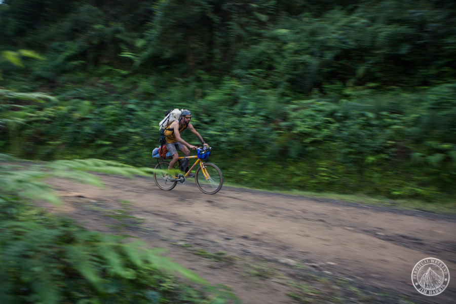 Steve Fassbinder rolling through the jungle