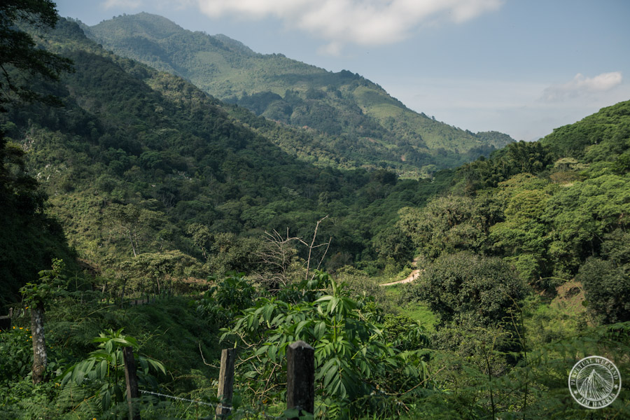 Pedaling into coffee growing country